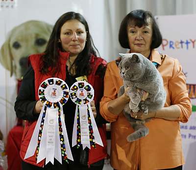 �������� ����� 22-23 ������ 2014, ������������ ��� �������� ����� 22-23 ������ 2014  ������������ ��� 169A8396 copy.jpg